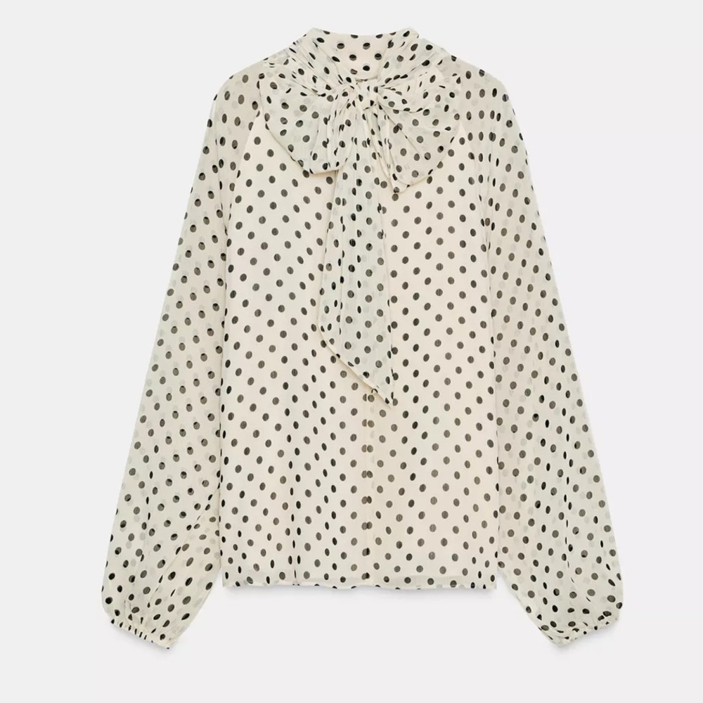 Zara Black Polka Dot Blouse
